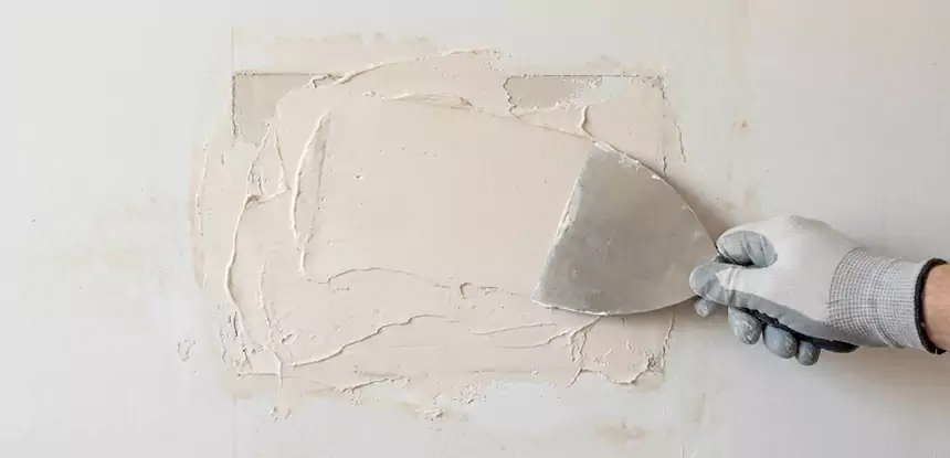 Professional Mold and Drywall Repair Services in Dawsonville, GA