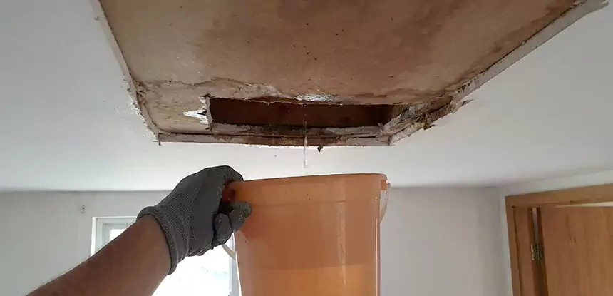 Ceiling Mold Repair Dawsonville